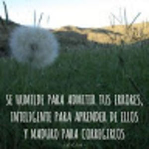 Meet your Posher, Ben